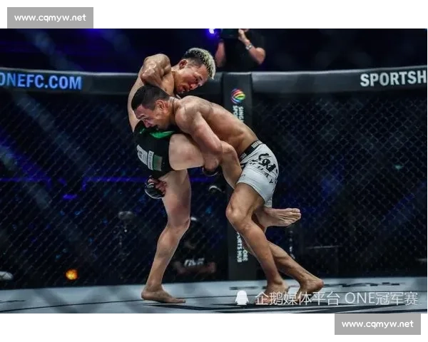 前蝇量级冠军弗朗斯遭重拳 KO，职业生涯遭遇重创