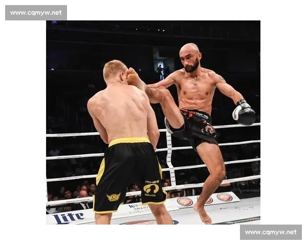 樱庭和志对决格雷西家族的传奇之战与格斗史转折点全面解析时代意义